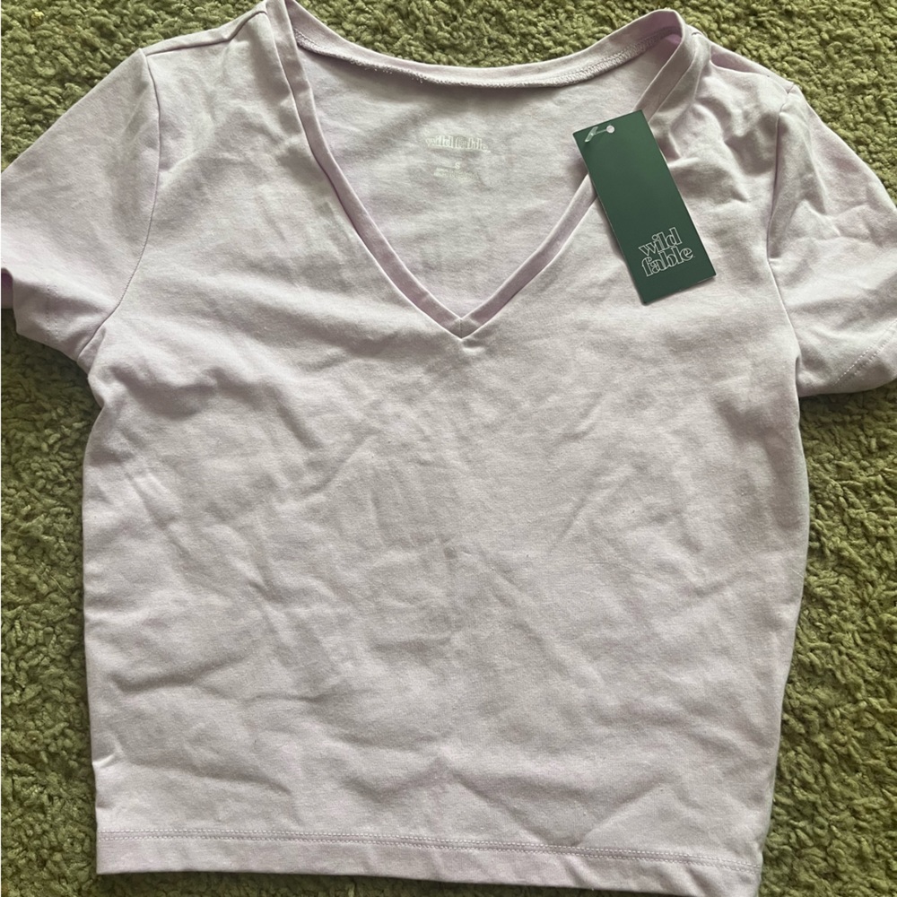 nwt crop t shirt